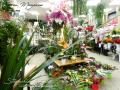 Fleuriste a vendre