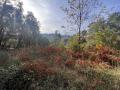 Terrain a vendre