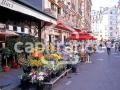 Fleuriste a vendre