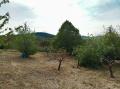 Terrain a vendre