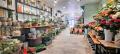 Fleuriste a vendre